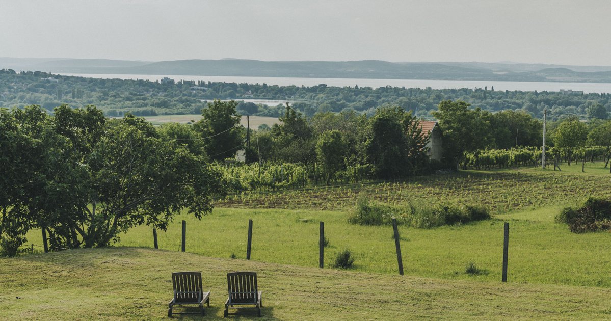 Kőröshegyi Bor Gasztro Piknik a Balatonnál