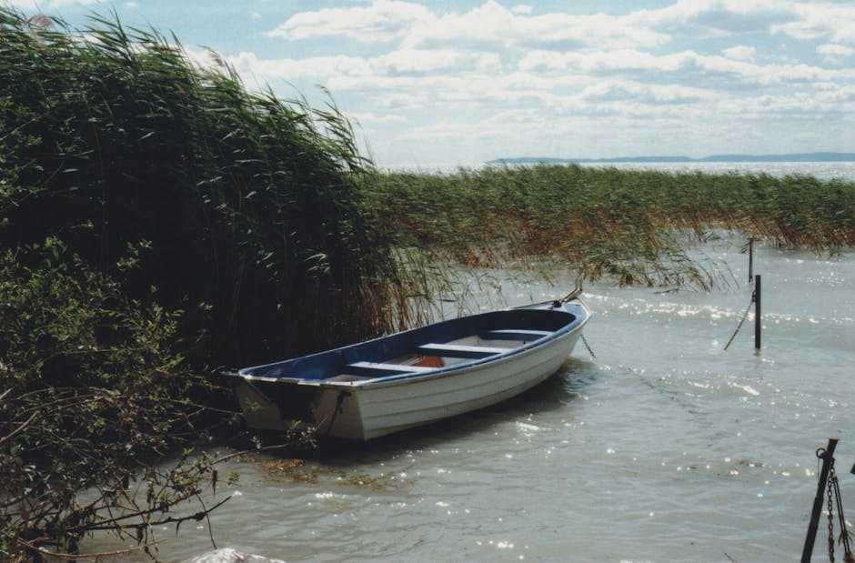 Boat near tall reeds by water