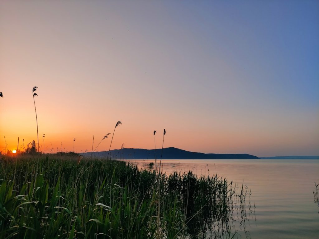 Sunset over calm lake with reeds
